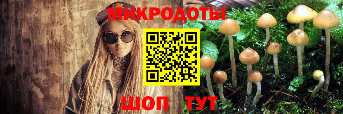 Галлюциногенные грибы прущие грибы Тайшет
