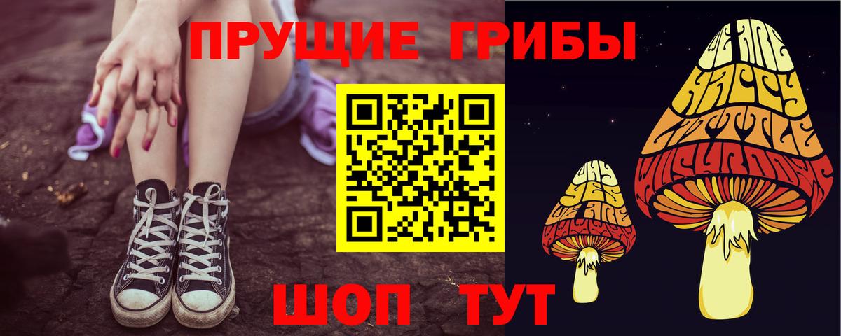 Псилоцибиновые грибы ЛСД  Вход с VPN  Тайшет 